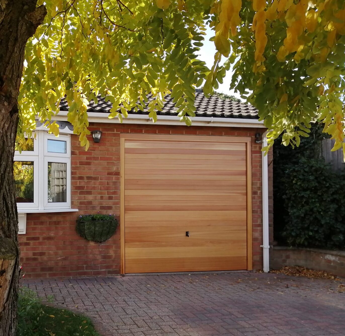 Cedar Door - Barlow